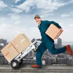 Delivery Man